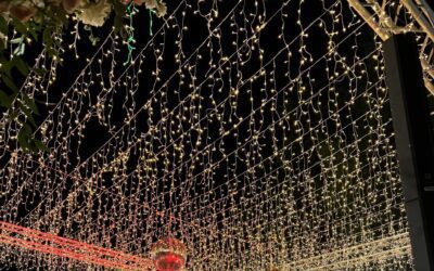 Ένας Παραμυθένιος Γάμος στο Κτήμα Δέδα από την Tsisma Iconic Events